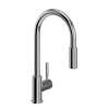Lux(TM) Pull-Down Kitchen Faucet, R7520APC