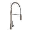 Lux(TM) Pre-Rinse Kitchen Faucet, R7521STN