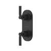 Apadana(TM) 1/2" Thermostatic Trim With Diverter, TAD12W2LMMB