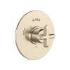 Apothecary(TM) 3/4" Thermostatic Trim Without Volume Control, TAP13W1XMSTN