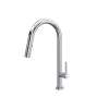 Tenerife(TM) Pull-Down Kitchen Faucet With C-Spout, TE55D1LMAPC