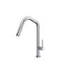 Tenerife(TM) Pull-Down Kitchen Faucet With U-Spout, TE56D1LMAPC