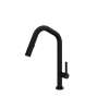 Tenerife(TM) Pull-Down Kitchen Faucet With U-Spout, TE56D1LMMB