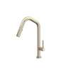 Tenerife(TM) Pull-Down Kitchen Faucet With U-Spout, TE56D1LMSTN
