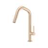 Tenerife(TM) Pull-Down Kitchen Faucet With U-Spout, TE56D1LMVG