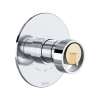 Eclissi(TM) 1/2" Therm & Pressure Balance Trim With 2 Functions, TEC44W1IWPCN