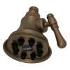 4" Multi-Function Showerhead, WI0123EB