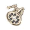 4" Multi-Function Showerhead, WI0123STN