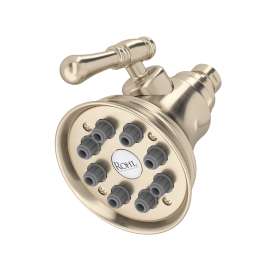 4" Multi-Function Showerhead, WI0123STN