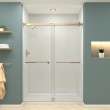 Bradley 60-in X 80-in By-Pass Shower Door with 3/8-in Clear Glass and Juliette Handle, Champagne Bronze