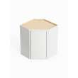 24-in x 12-in x 30-in Ready To Assemble Slim Shaker Diagonal Corner Wall Cabinet, White, DCW2430-RTA-FR02-WH