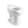 Stinson Vitreous China Toilet Bowl