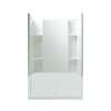 48-in x 36-in x 55-1/8-in Shower Wall Set in White