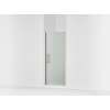 67" H pivot shower door with 5/16"-thick glass