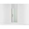 67" H pivot shower door with 5/16"-thick glass