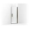 Headerless frameless pivot shower door 30" max opening x 67" H
