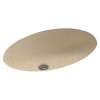 22.5-in W x 16-in D x 5.625-in H Solid Surface Undermount Bathroom Sink in Bermuda Sand
