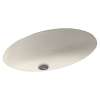 22.5-in W x 16-in D x 5.625-in H Solid Surface Undermount Bathroom Sink in Tahiti Matrix