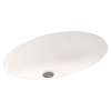 22.5-in W x 16-in D x 5.625-in H Solid Surface Undermount Bathroom Sink in Tahiti Ivory