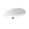 19.625-in W x 16-in D x 5.625-in H Solid Surface Undermount Bathroom Sink in Tahiti White