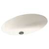 22.5-in W x 16-in D x 5.625-in H Solid Surface Undermount Bathroom Sink in Baby's Breath