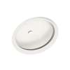 16-in D x 22.5-in W x 5.5-in H Solid Surface Undermount Bathroom Sink in Tahiti White