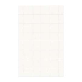 SSSQ-6296-1-011 62-in W x 96-in H Solid Surface Shower Wall Panel in Tahiti White