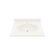 Chesapeake 22 x 25 Single Bowl Vanity Top in Bisque, CH02225.018