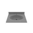 Chesapeake 22 x 25 Single Bowl Vanity Top in Ash Gray, CH02225.203