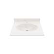 Chesapeake 22 x 25 Single Bowl Vanity Top in Carrara, CH02225.221