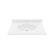 Chesapeake 22 x 31 Single Bowl Vanity Top in White, CH02231.010