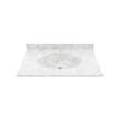 Chesapeake 22 x 31 Single Bowl Vanity Top in Ice, CH02231.130