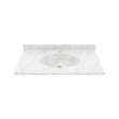 Chesapeake 22 x 37 Single Bowl Vanity Top in Ice, CH02237.130