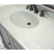 Chesapeake 22 x 43 Single Bowl Vanity Top in Mountain Mist, CH02243.141