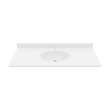 Chesapeake 22 x 49 Single Bowl Vanity Top in White, CH02249.010