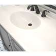 Chesapeake 22 x 49 Single Bowl Vanity Top in Coastal Sands, CH02249.013