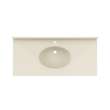 Chesapeake 22 x 49 Single Bowl Vanity Top in Coastal Sands, CH02249.013