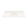 Chesapeake 22 x 49 Single Bowl Vanity Top in Bisque, CH02249.018