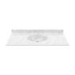 Chesapeake 22 x 49 Single Bowl Vanity Top in Ice, CH02249.130