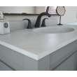 Chesapeake 22 x 49 Single Bowl Vanity Top in Birch, CH02249.226
