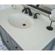 Chesapeake 22 x 61 Single Bowl Vanity Top in Bisque, CH02261.018