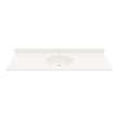 Chesapeake 22 x 61 Single Bowl Vanity Top in Bisque, CH02261.018
