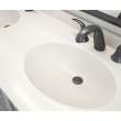 Chesapeake 22 x 61 Double Bowl Vanity Top in Coastal Sands, CH022612B.013
