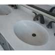 Chesapeake 22 x 61 Double Bowl Vanity Top in Birch, CH022612B.226