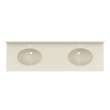 Chesapeake 22 x 73 Double Bowl Vanity Top in Coastal Sands, CH022732B.013