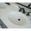 Chesapeake 22 x 73 Double Bowl Vanity Top in Bisque, CH022732B.018