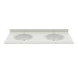 Chesapeake 22 x 73 Double Bowl Vanity Top in Birch, CH022732B.226