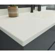 Contour 22 x 25 Single Bowl Vanity Top in Bisque, CV02225.018