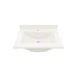 Contour 22 x 25 Single Bowl Vanity Top in Bisque, CV02225.018