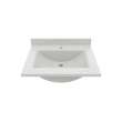 Contour 22 x 25 Single Bowl Vanity Top in Birch, CV02225.226